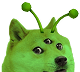 Doge alien