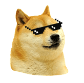 Doge cool