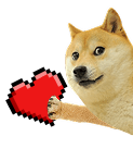Doge love
