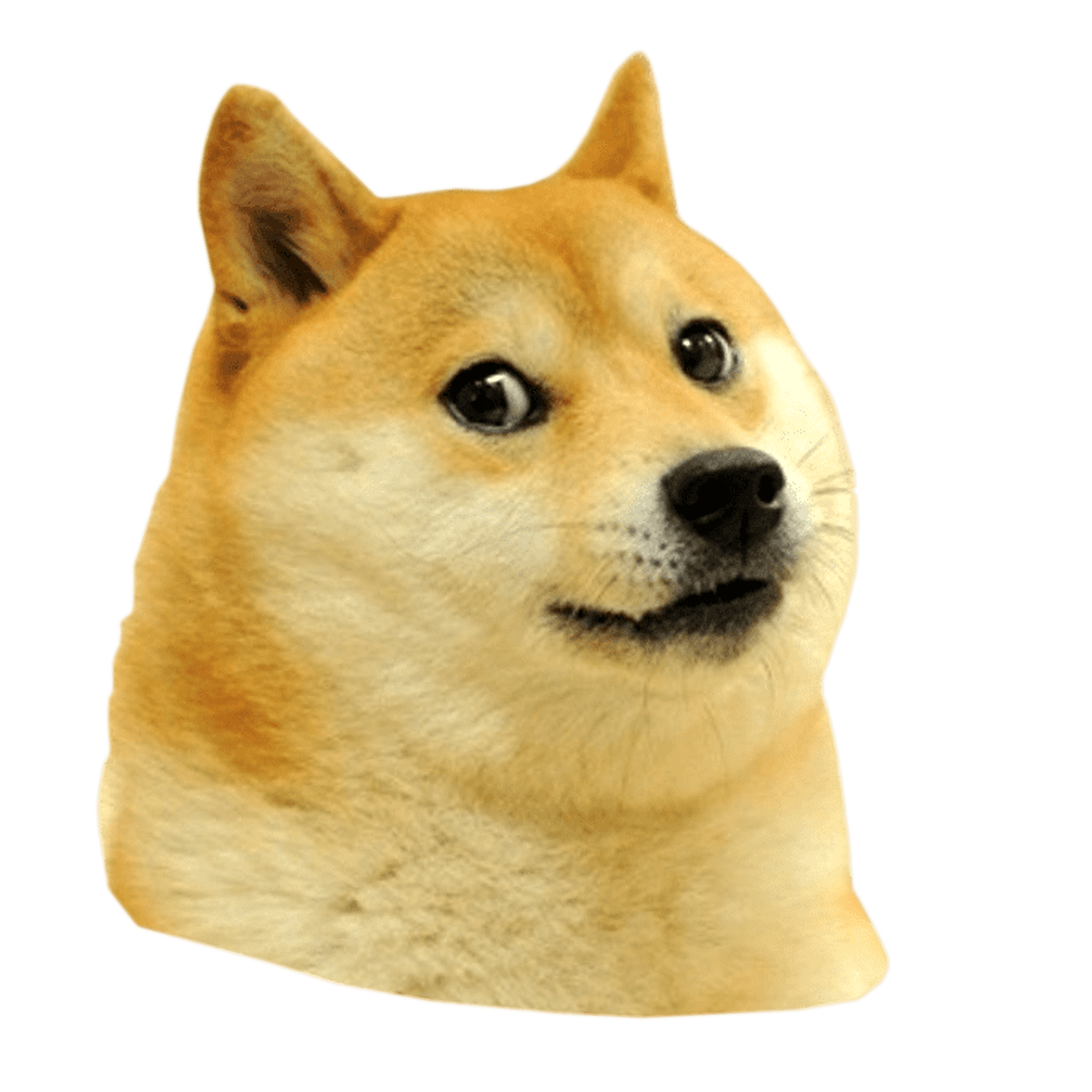 Doge